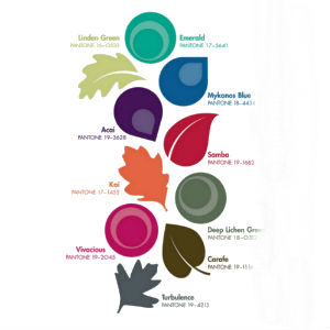 El traje de baño ideal para cada cuerpo - Revestida