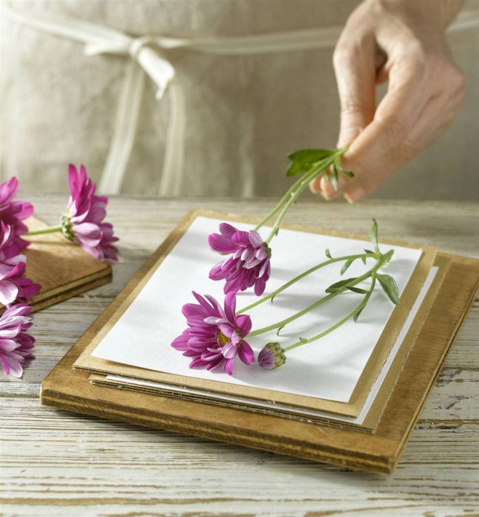 Prensar flores