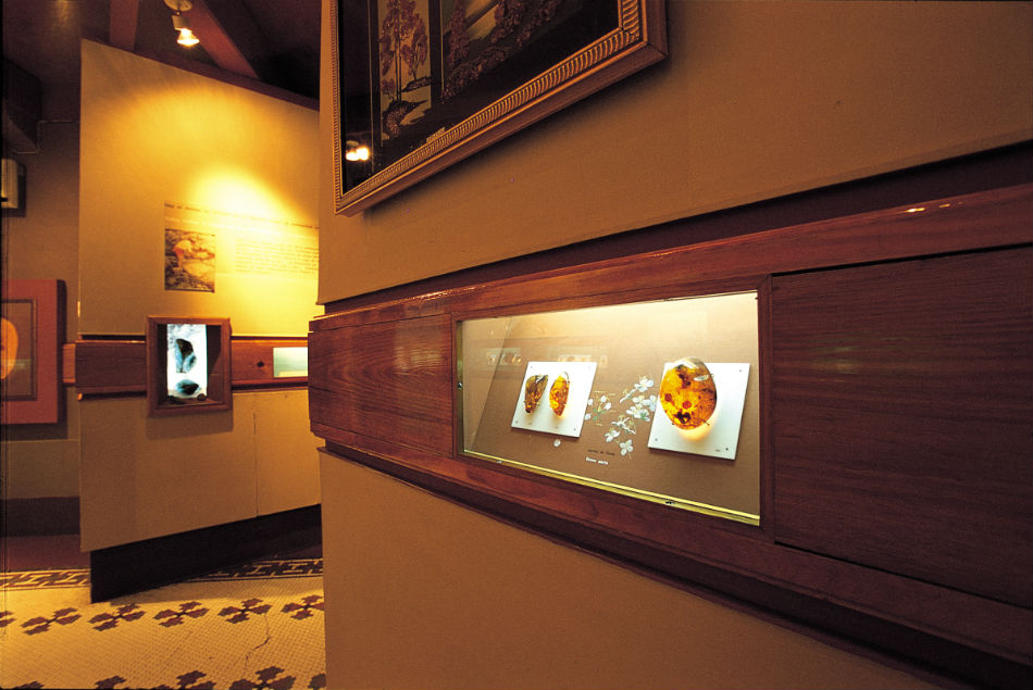 museo del ámbar